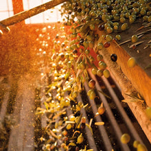 Laden Sie das Bild in den Galerie-Viewer, BIO - Natives Olivenöl Extra - STRONG 500ml